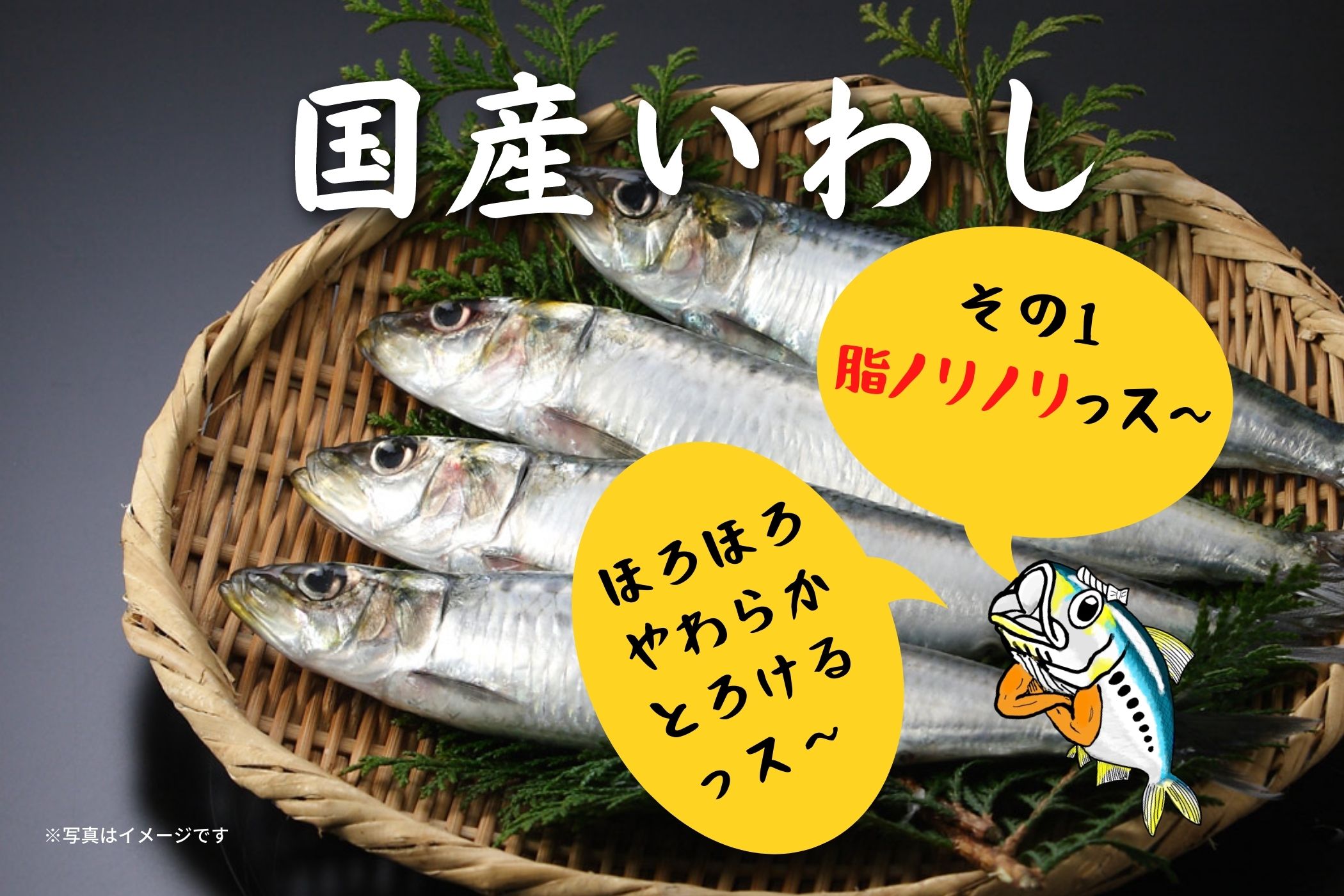 あいこちゃん脂のり☆のりいわし 黒ごま☆パワー 140g×24缶. | 伊藤