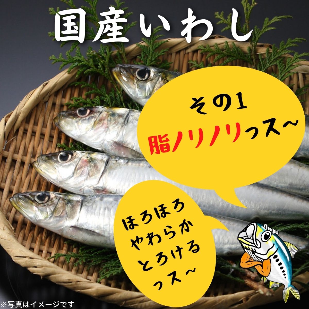 あいこちゃん脂のり☆のりいわし 生姜☆パワー 140g×6缶_ | 伊藤食品