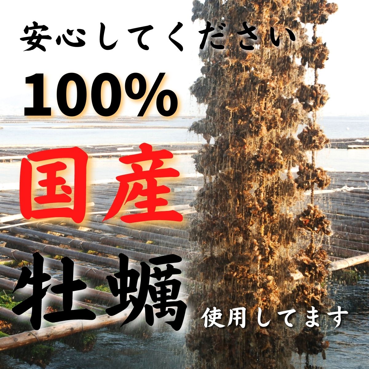あいこちゃん牡蠣油漬 にんにく入り 160g×24缶. | 伊藤食品公式