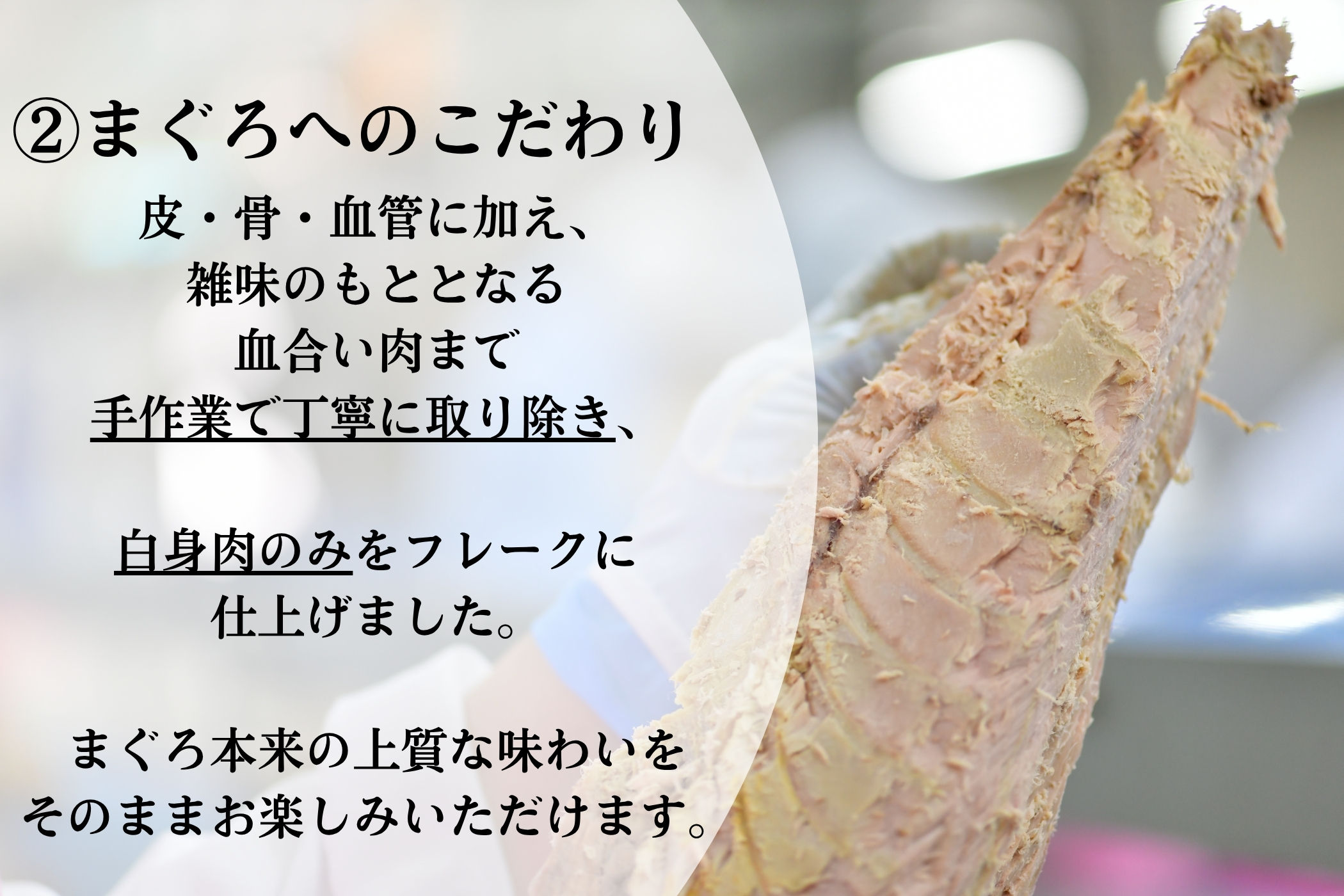 あいこちゃんまぐろ味付 甘辛醤油仕立て 70g×24缶- | 伊藤食品公式