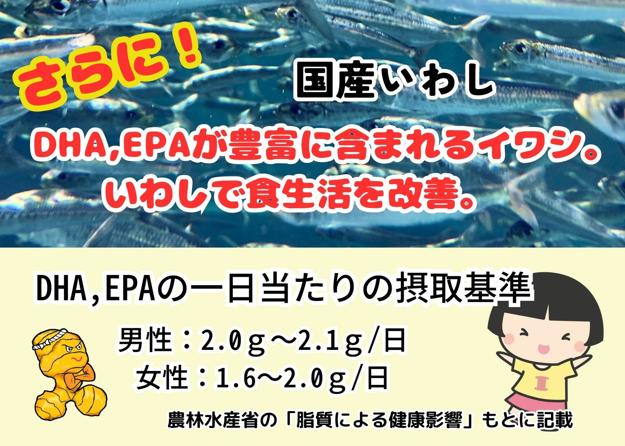 あいこちゃん脂のり☆のりいわし 生姜☆パワー 140g×24缶. | 伊藤食品